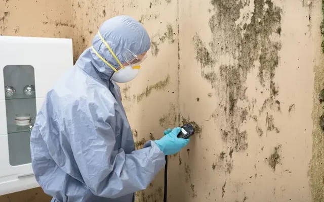 Water Damage Removal