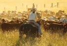 Agribusiness